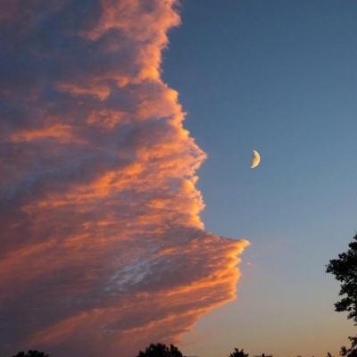 开云·体育(kaiyun)